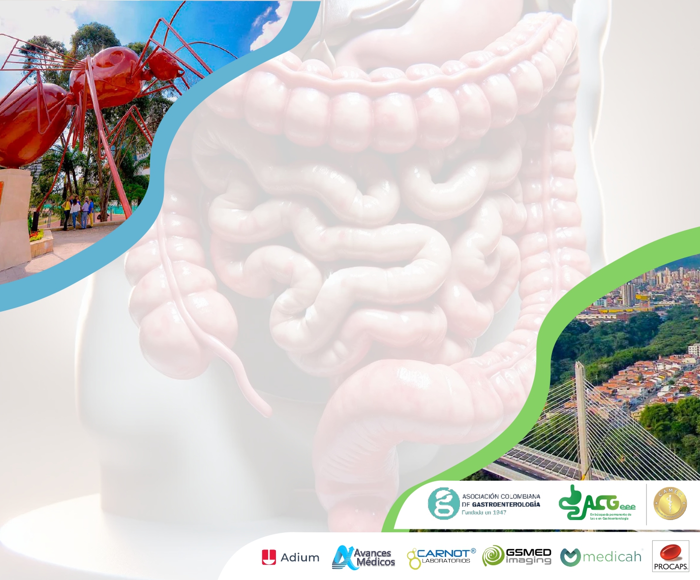VI CURSO DE ACTUALIZACIÓN EN GASTROENTEROLOGÍA DEL ORIENTE