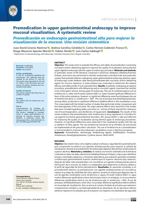 Premedication in upper gastrointestinal endoscopy to improve mucosal visualization. A systematic review